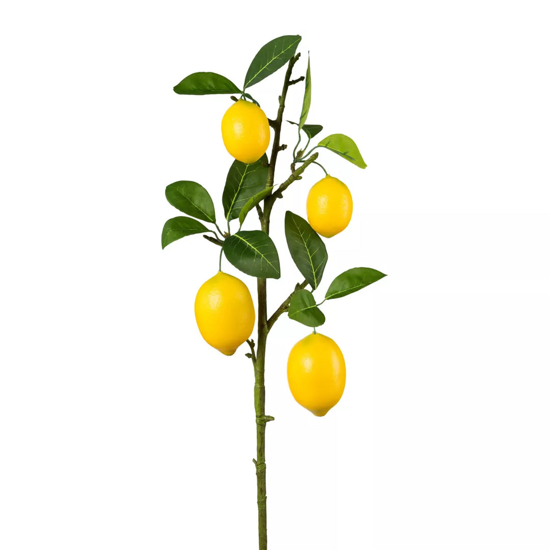 Flourify Citroentak