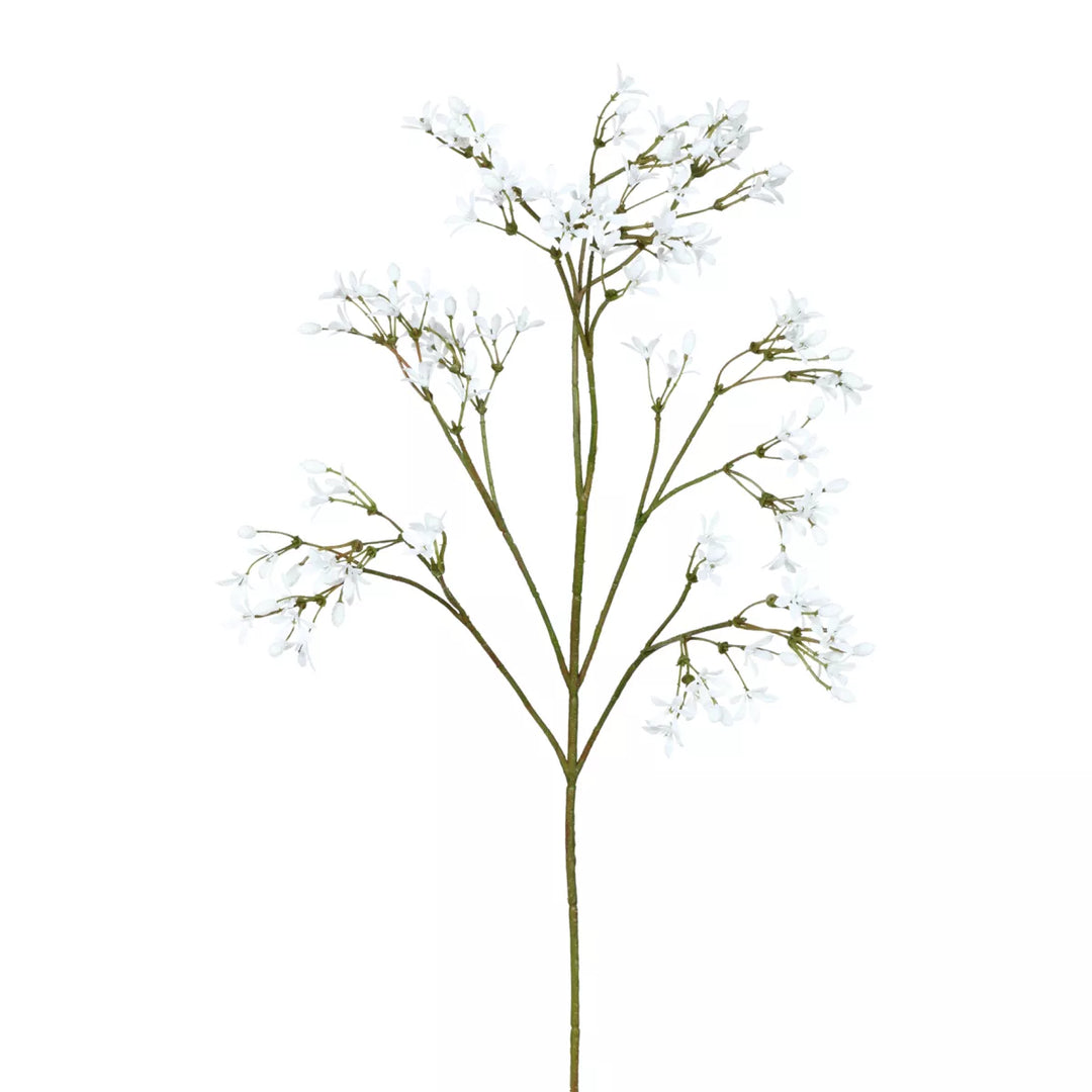 Flourify Jasmijntak