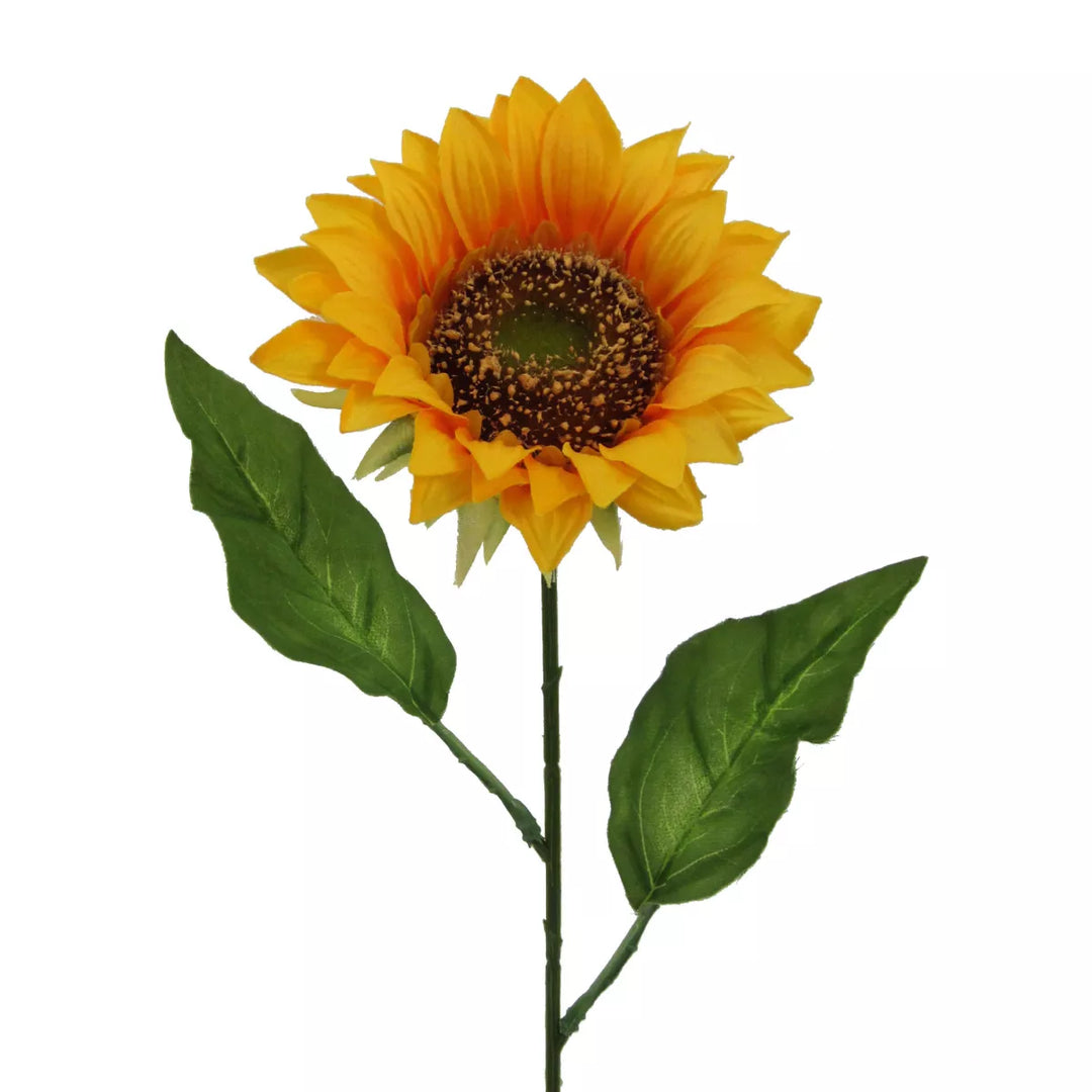 Flourify Zonnebloem