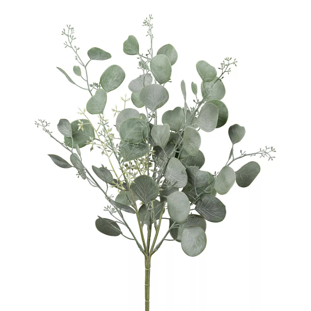 Flourify Eukalyptus bos