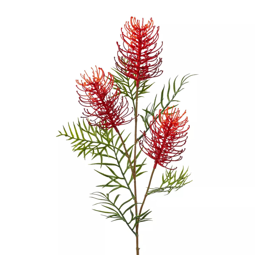 Flourify Grevillea tak