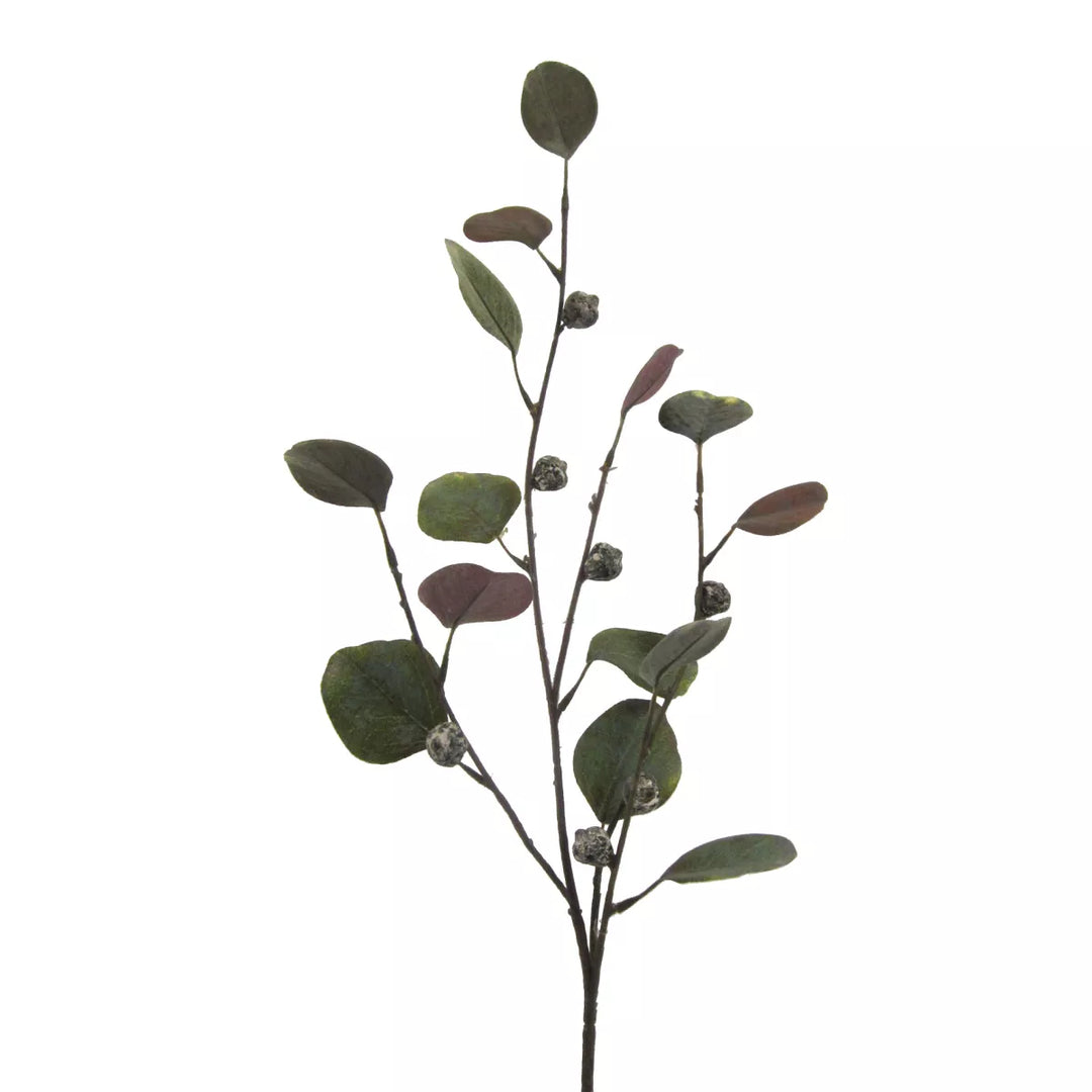 Flourify Eukalyptus tak