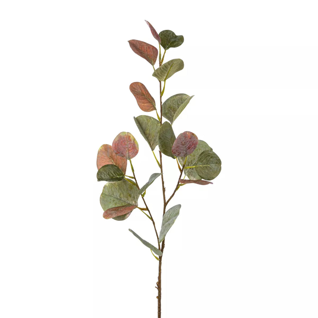 Flourify Eukalyptus