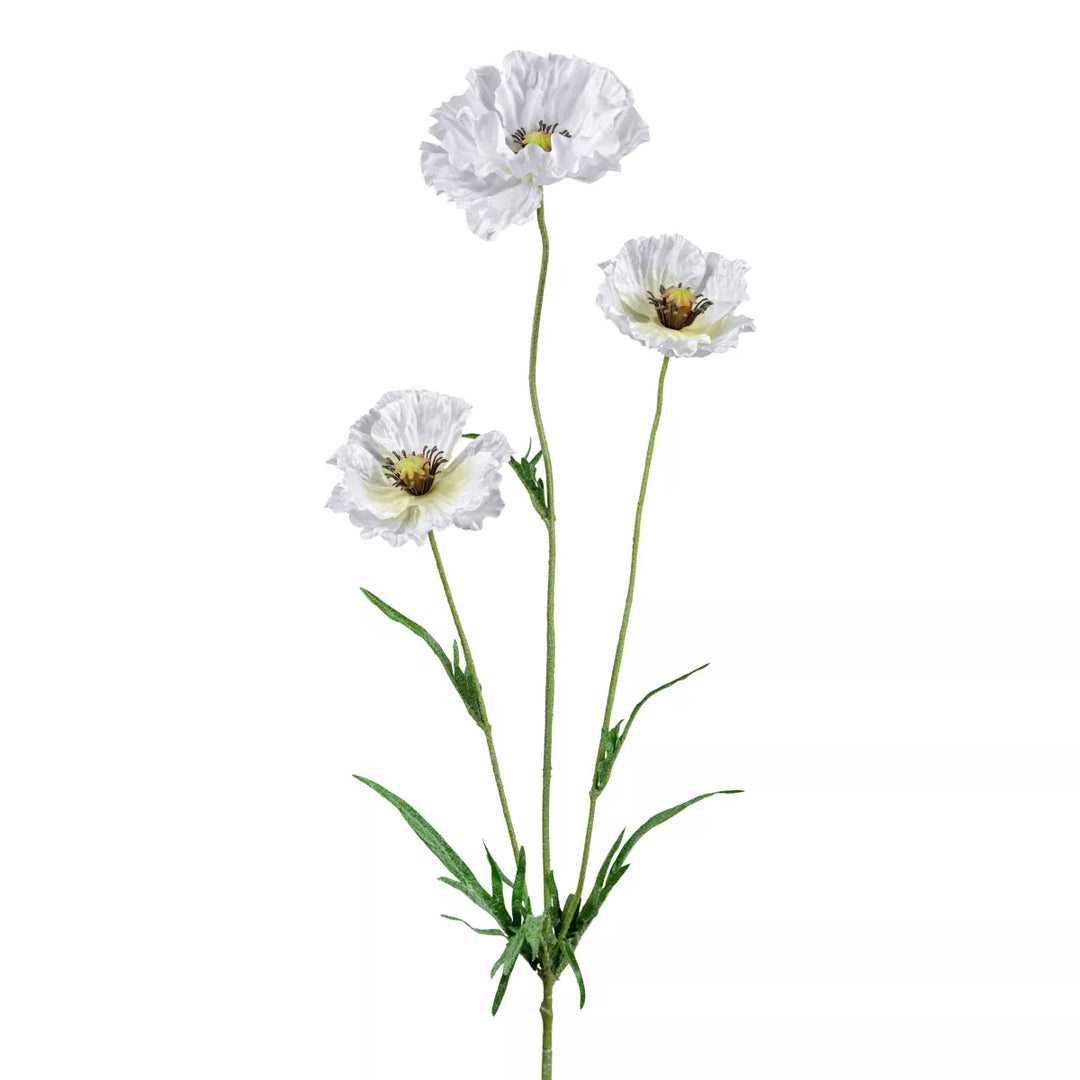Flourify Maanbloem