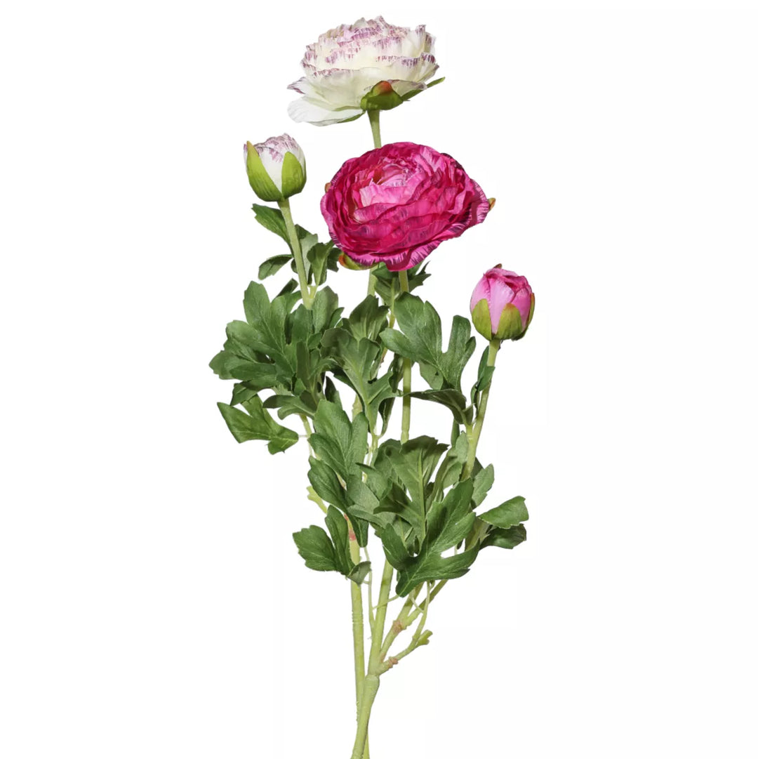 Flourify Ranunkel (boterbloem)