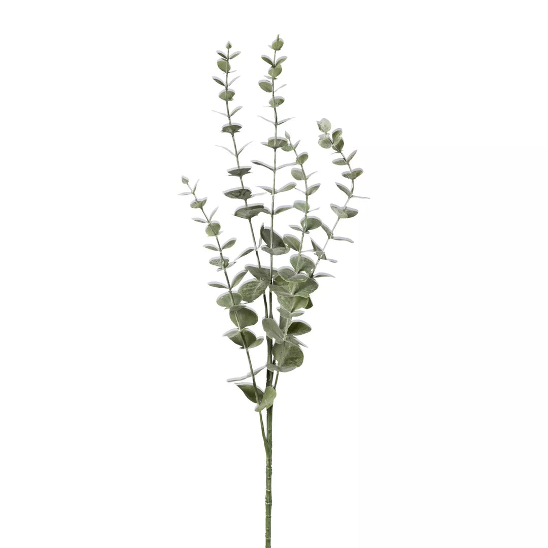 Flourify Eukalyptus tak