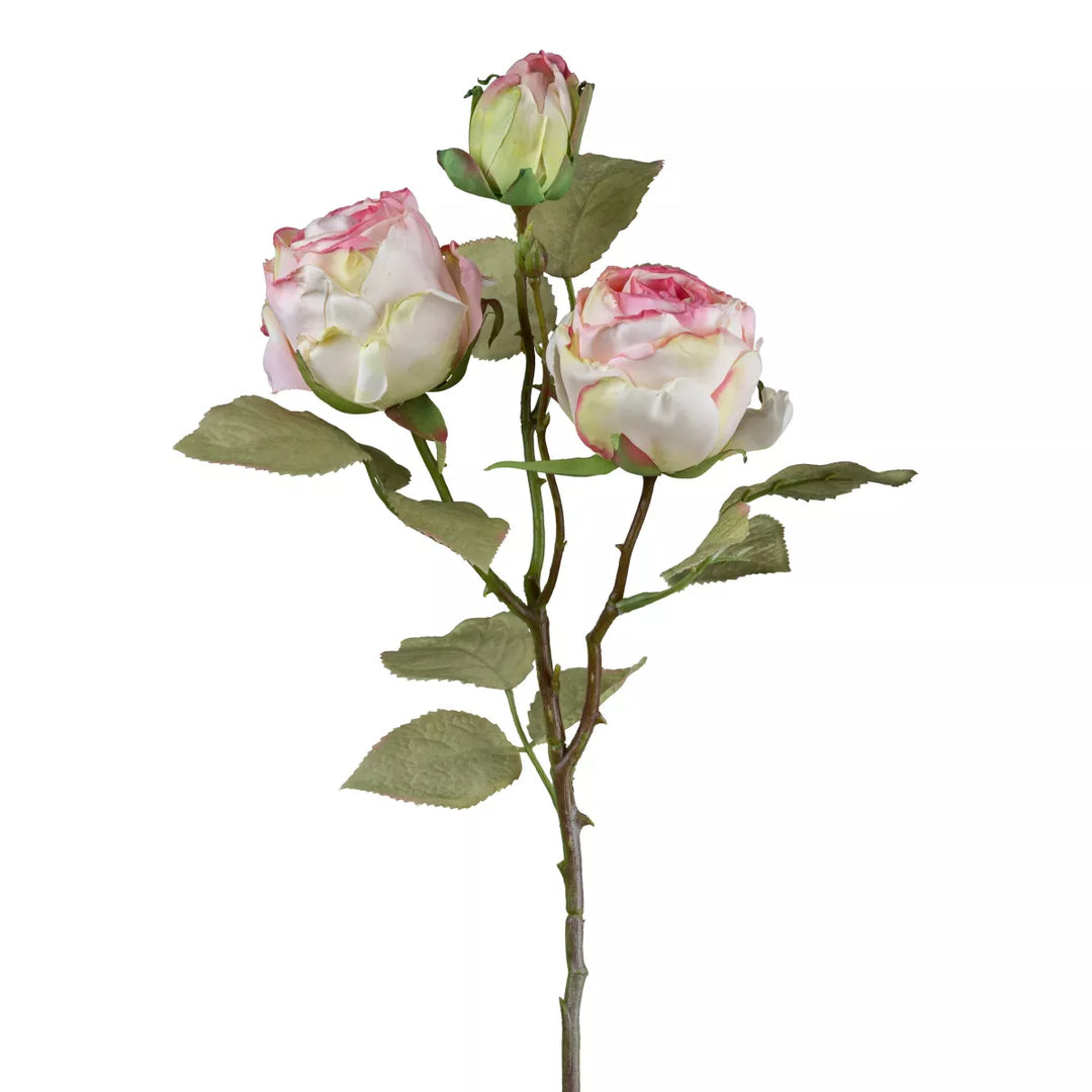 Flourify Roos