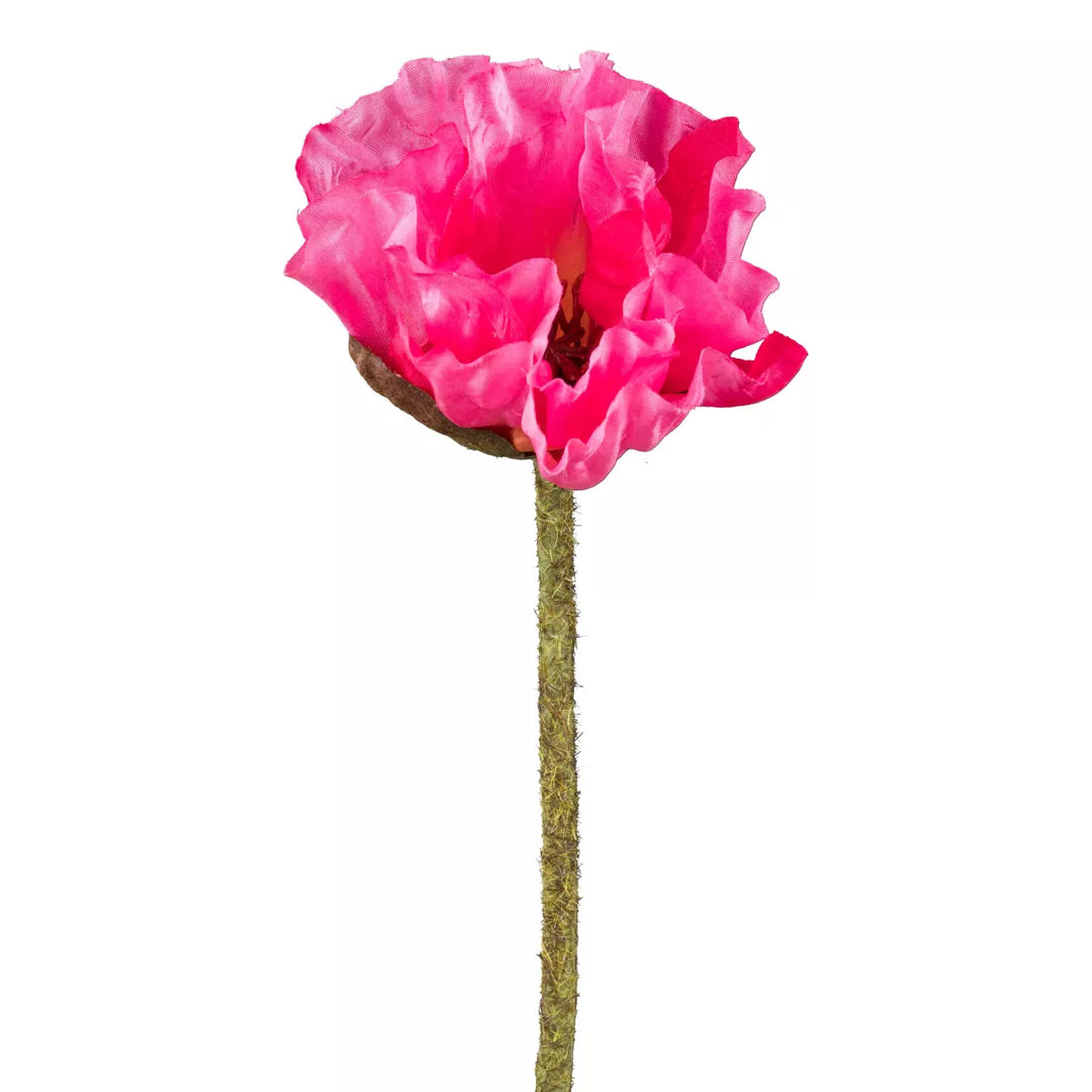 Flourify Maanbloem