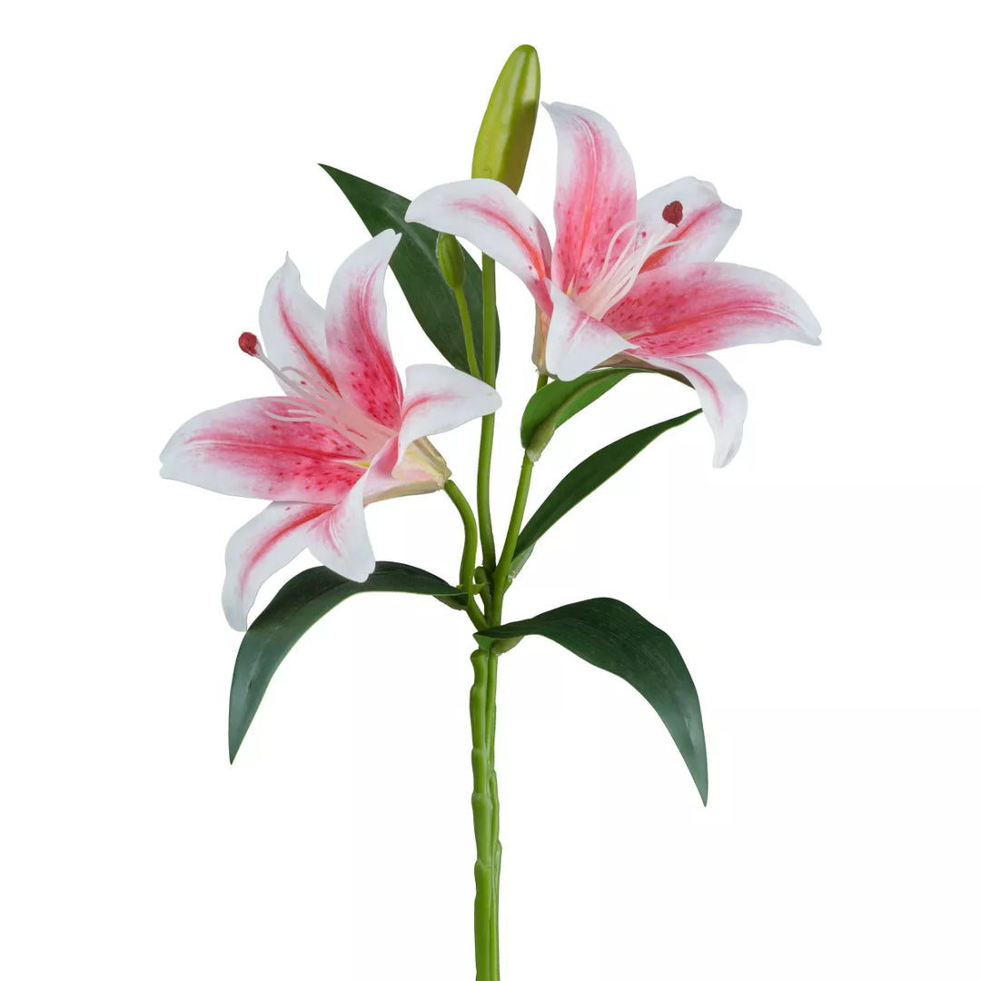 Flourify Lelie