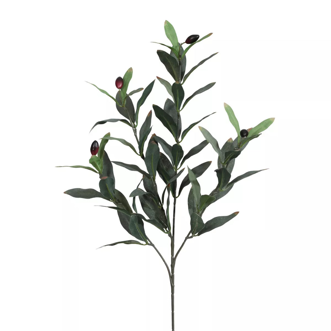 Flourify Olijf tak