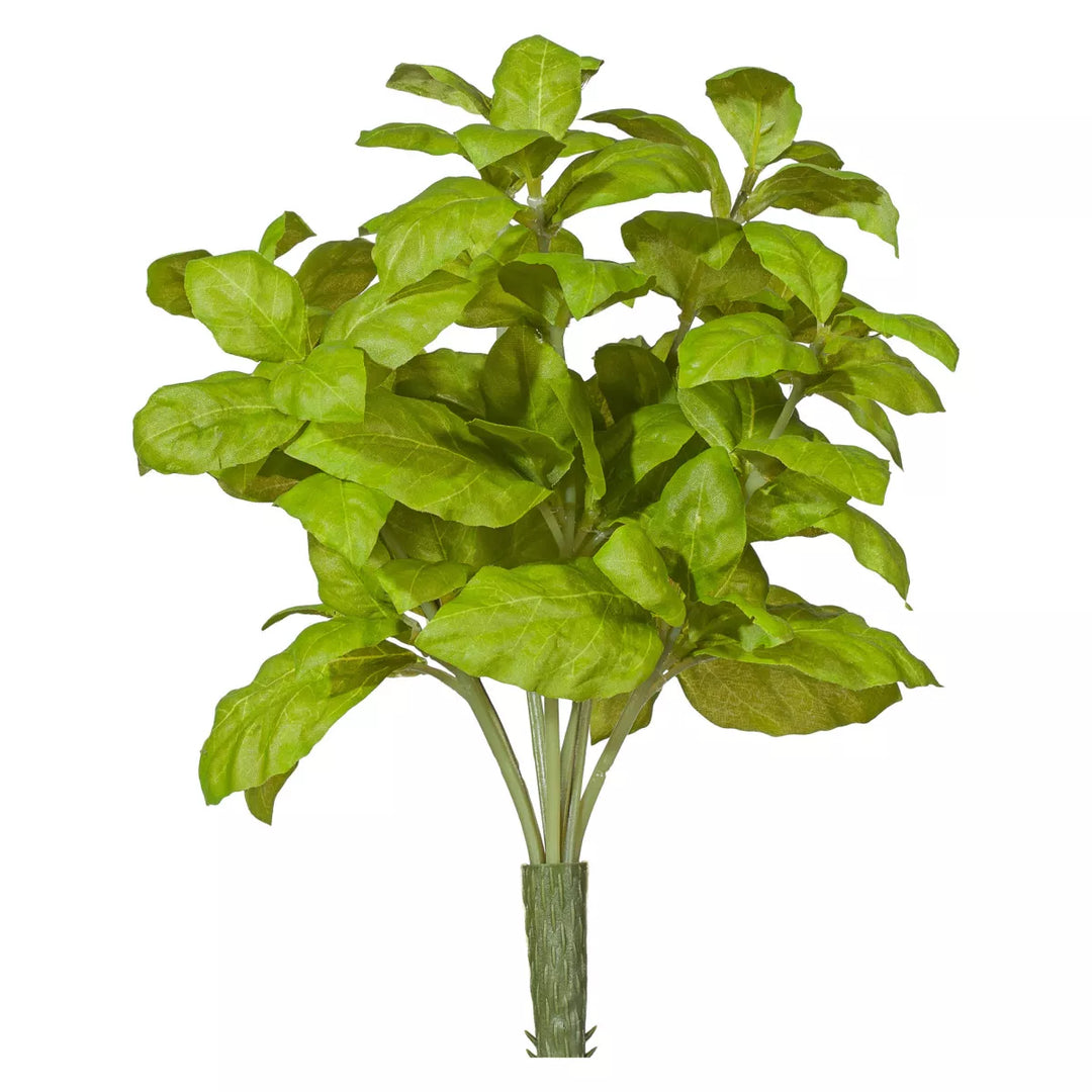 Flourify Basilicum bos