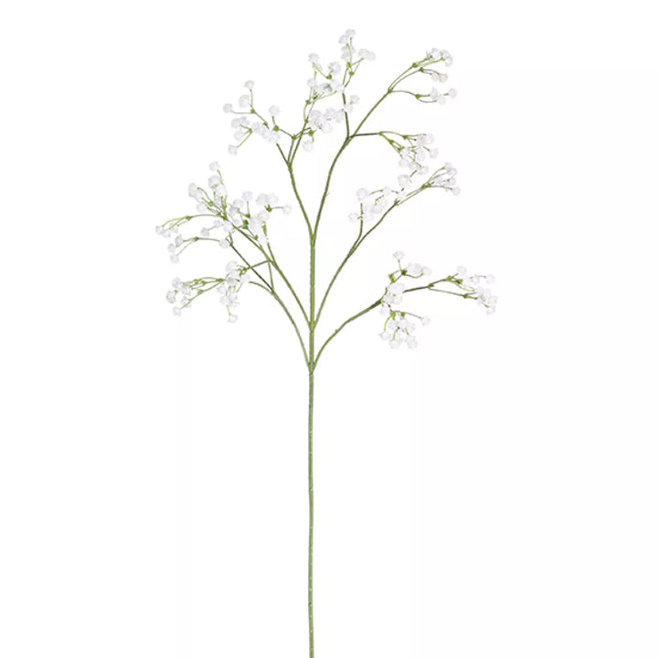 Flourify Gipskruid tak