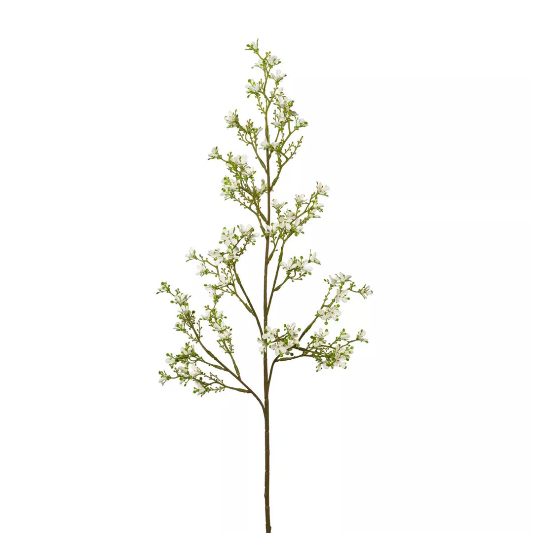 Flourify Jasmijntak