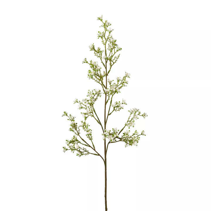 Flourify Jasmijntak