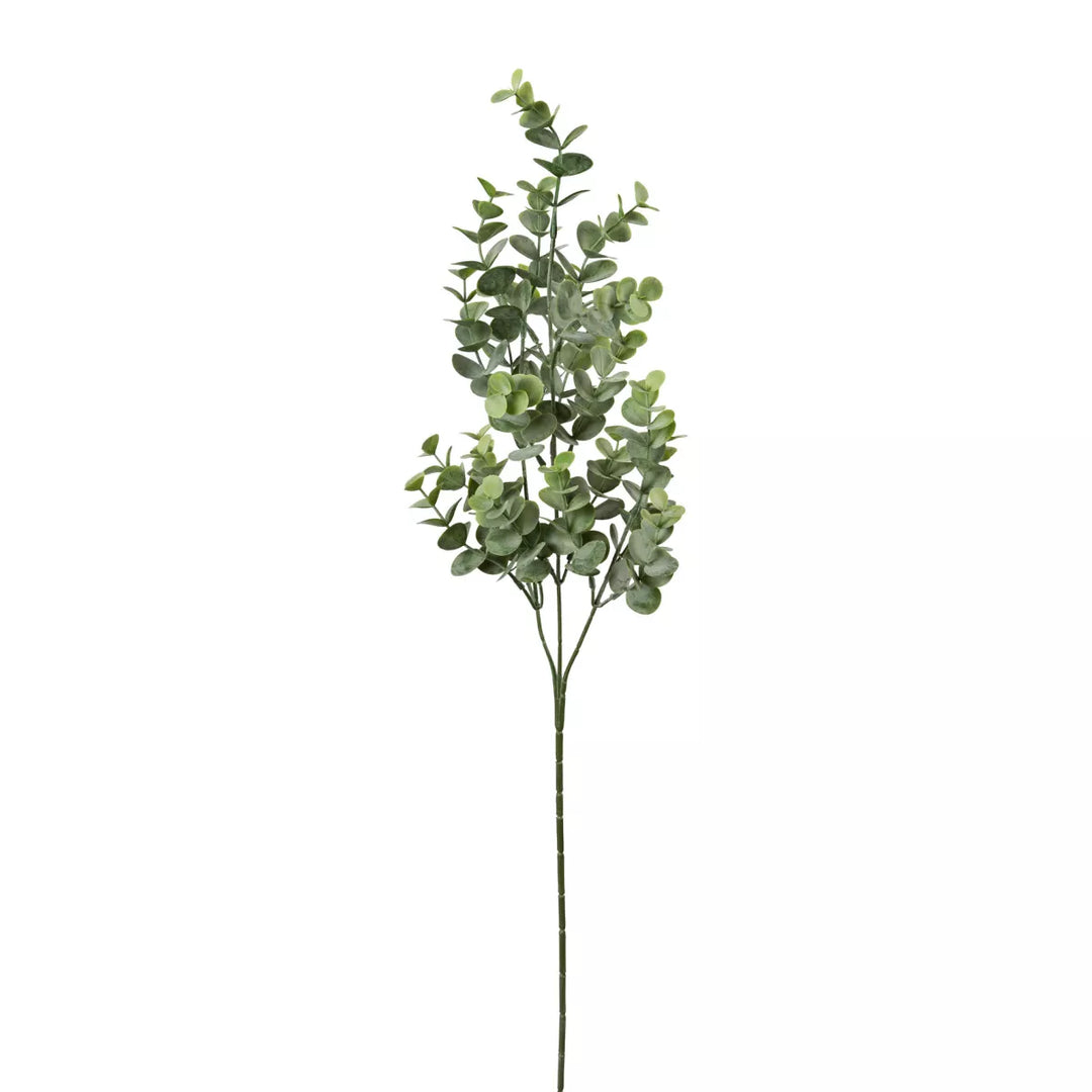 Flourify Eukalyptus tak