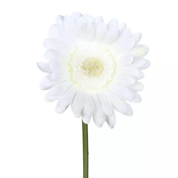 Flourify Gerbera