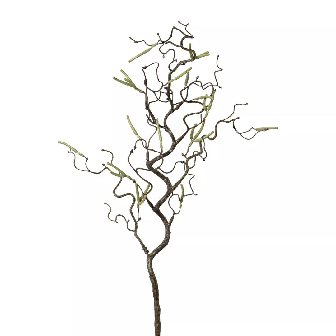 Flourify Kronkelhazelaar