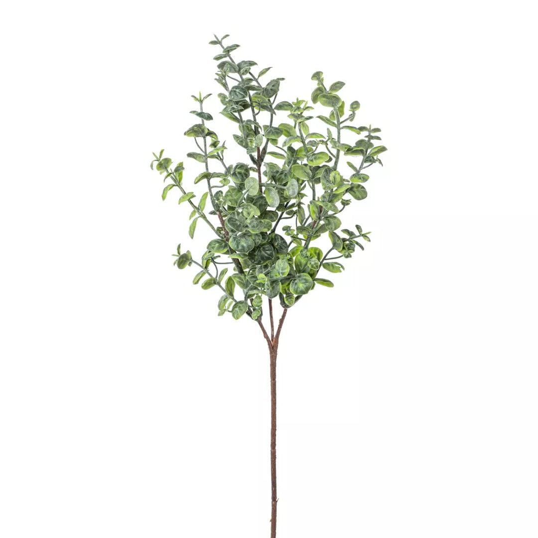 Flourify Eukalyptus tak