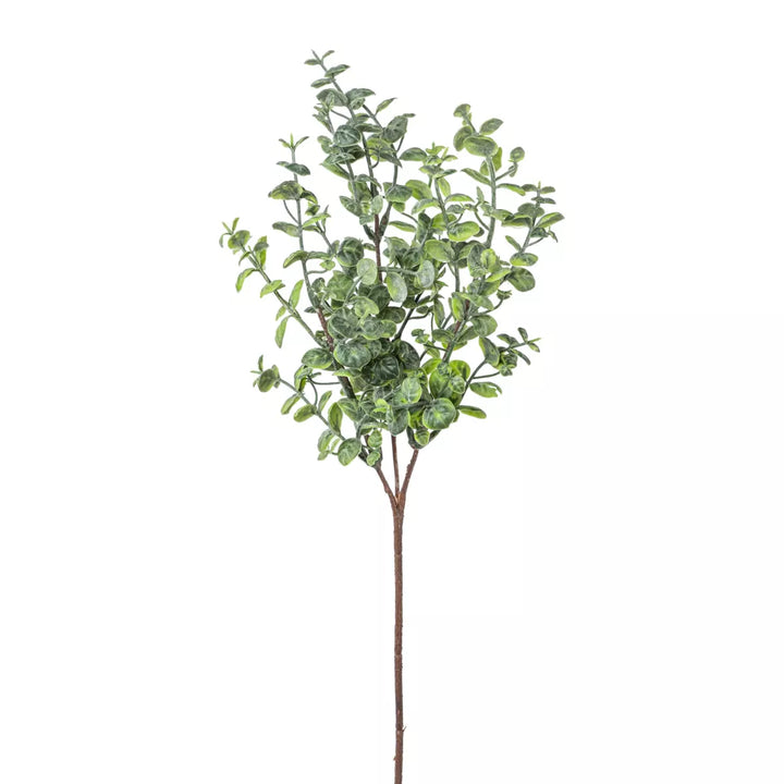 Flourify Eukalyptus tak