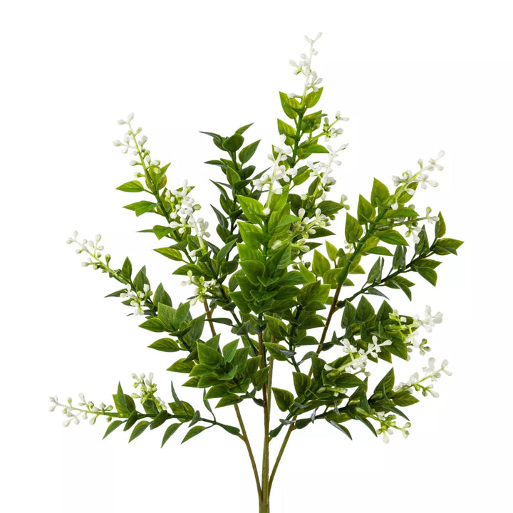 Flourify Sterbloem bos