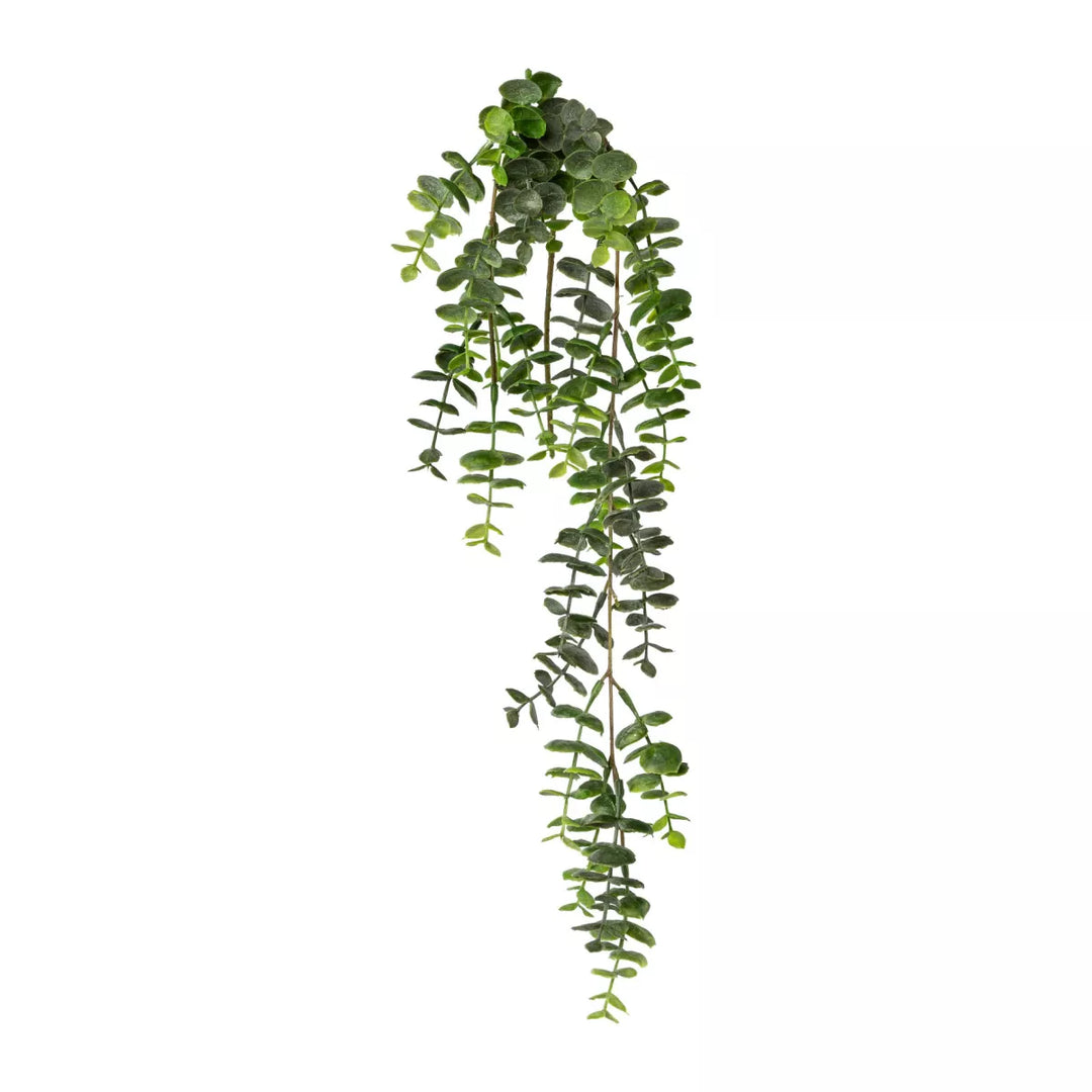Flourify Eucalyptus hangtak (hangplant)