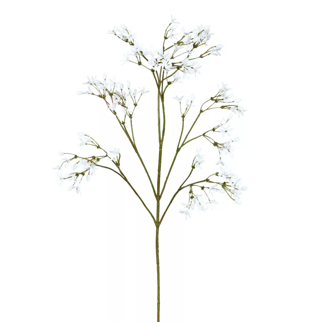 Flourify Jasmijntak