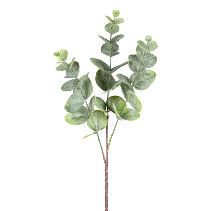 Flourify Eukalyptus tak