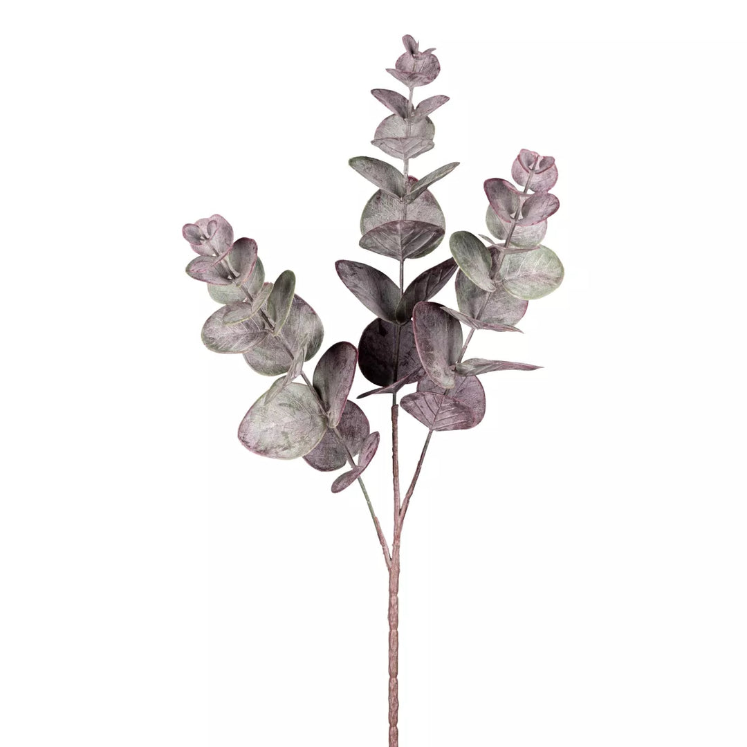 Flourify Eukalyptus tak