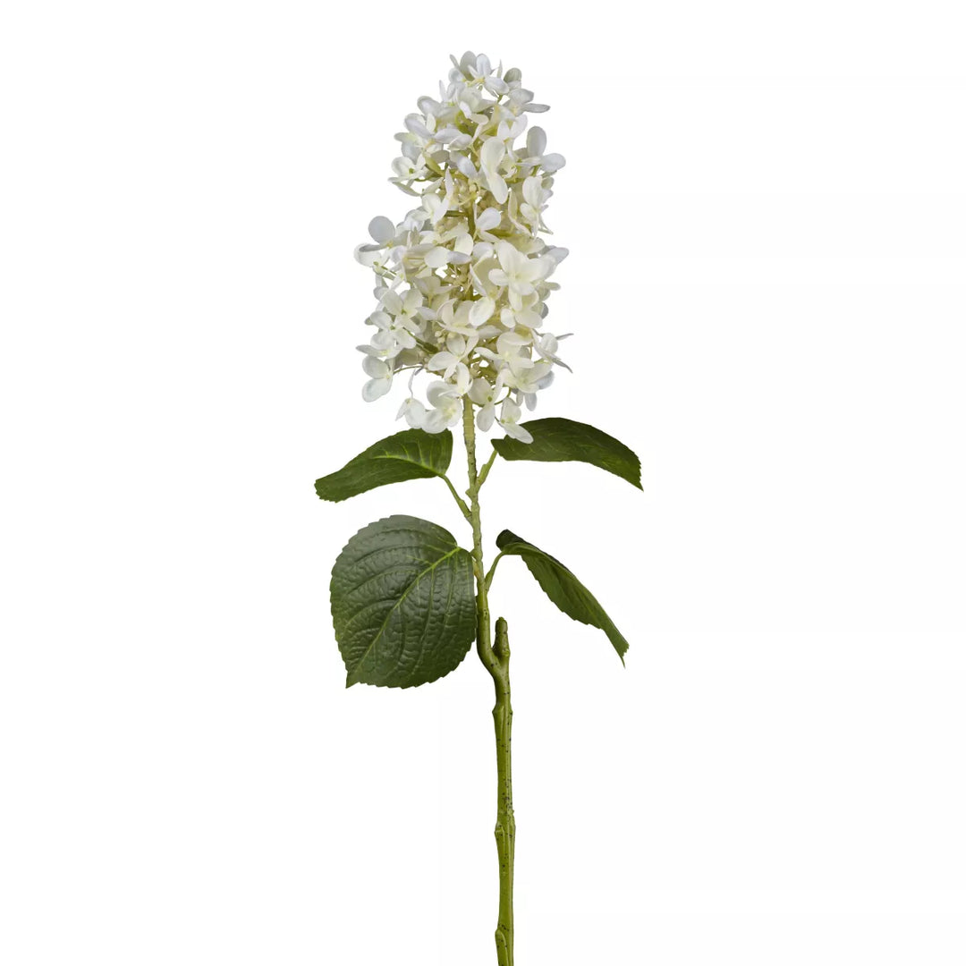 Flourify Hortensia