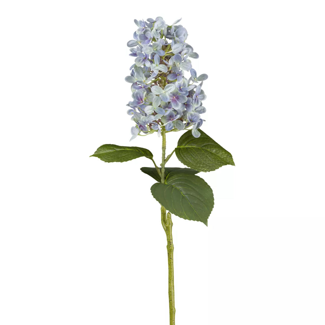 Flourify Hortensia