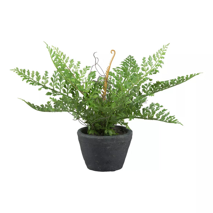 Flourify Varen