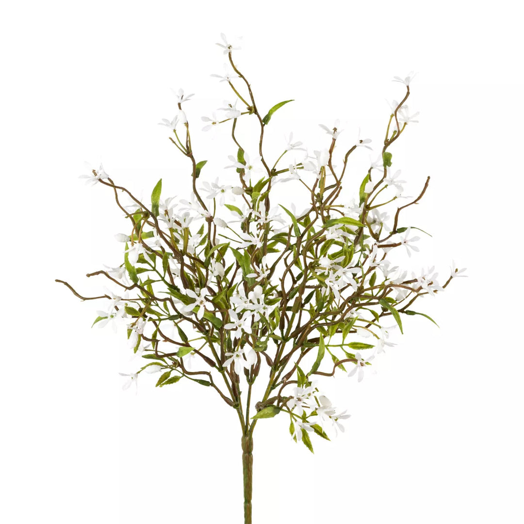 Flourify Jasmijnstruik