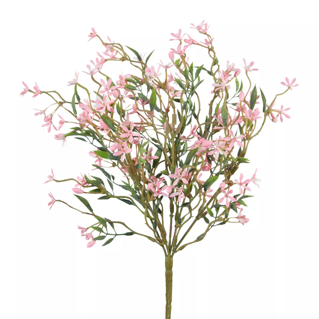 Flourify Jasmijnstruik