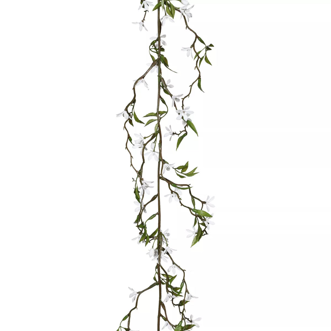 Flourify Jasmijn guirlande, (hangplant)
