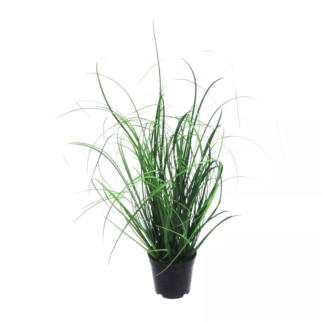 Flourify Grasbos