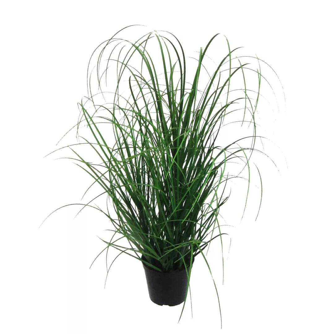 Flourify Grasbos