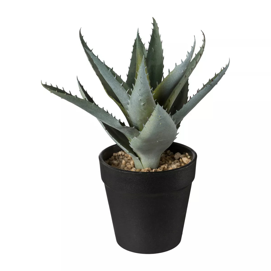 Flourify Aloë