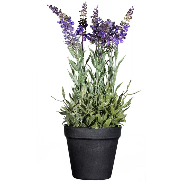 Flourify Lavendel