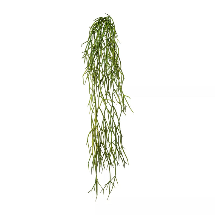 Flourify Rhipsalis hangplant,