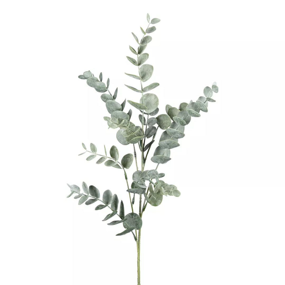 Flourify Eukalyptus tak