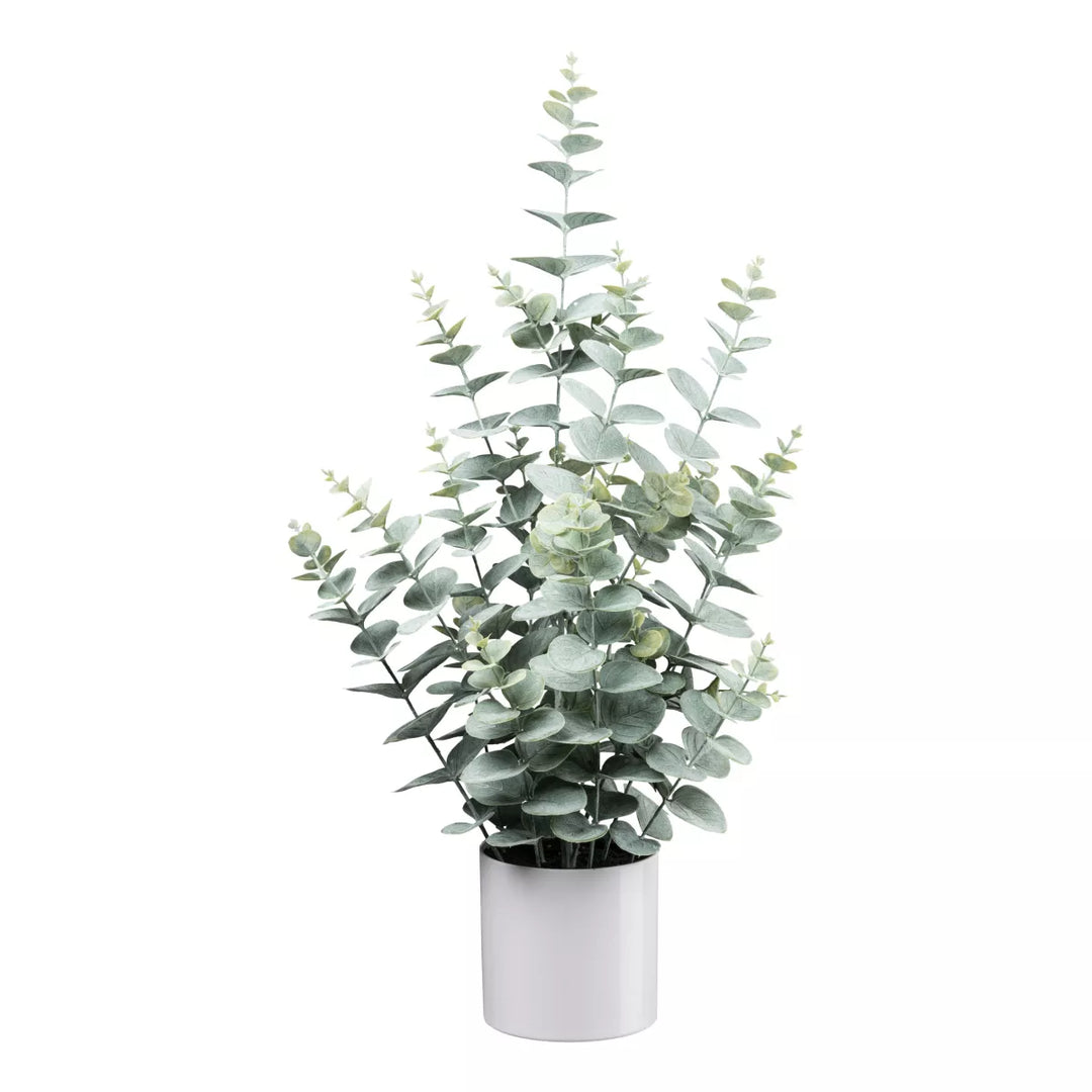Flourify Eucalyptus