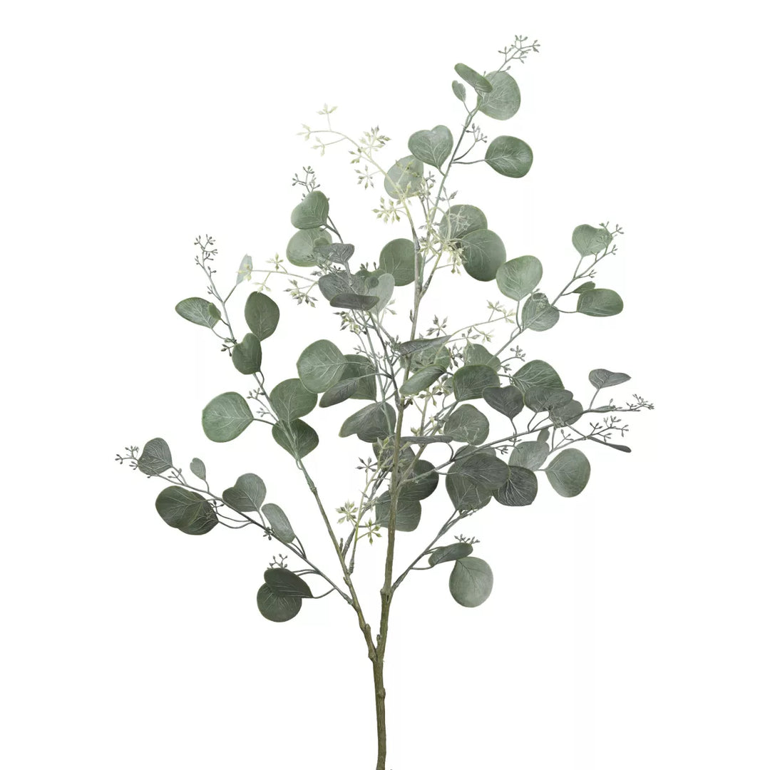 Flourify Eukalyptus tak