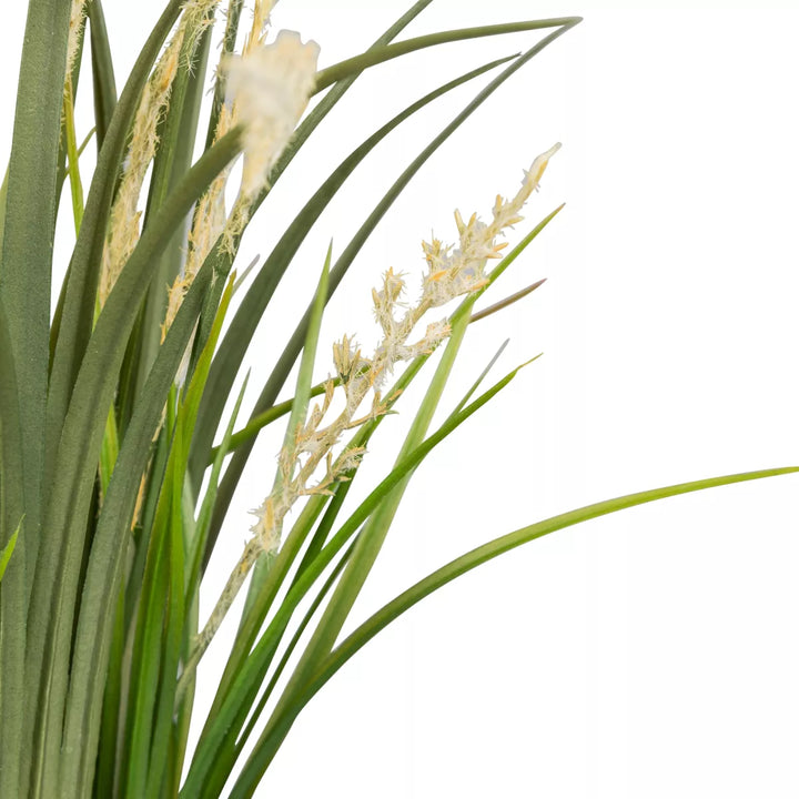 Flourify Siergras