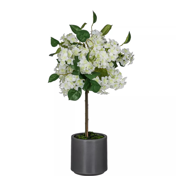 Flourify Hortensia boom