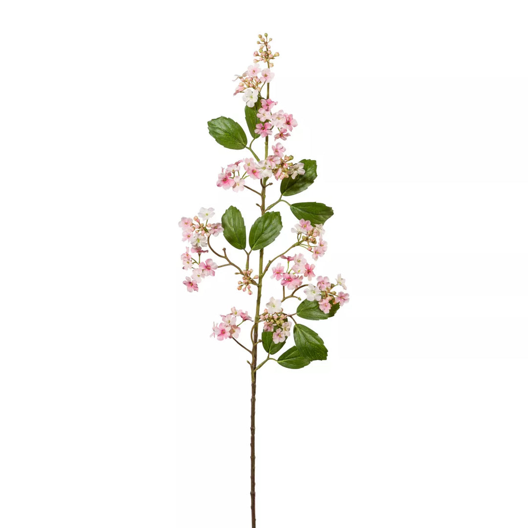 Flourify Viburnum(sneeuwbal) 
