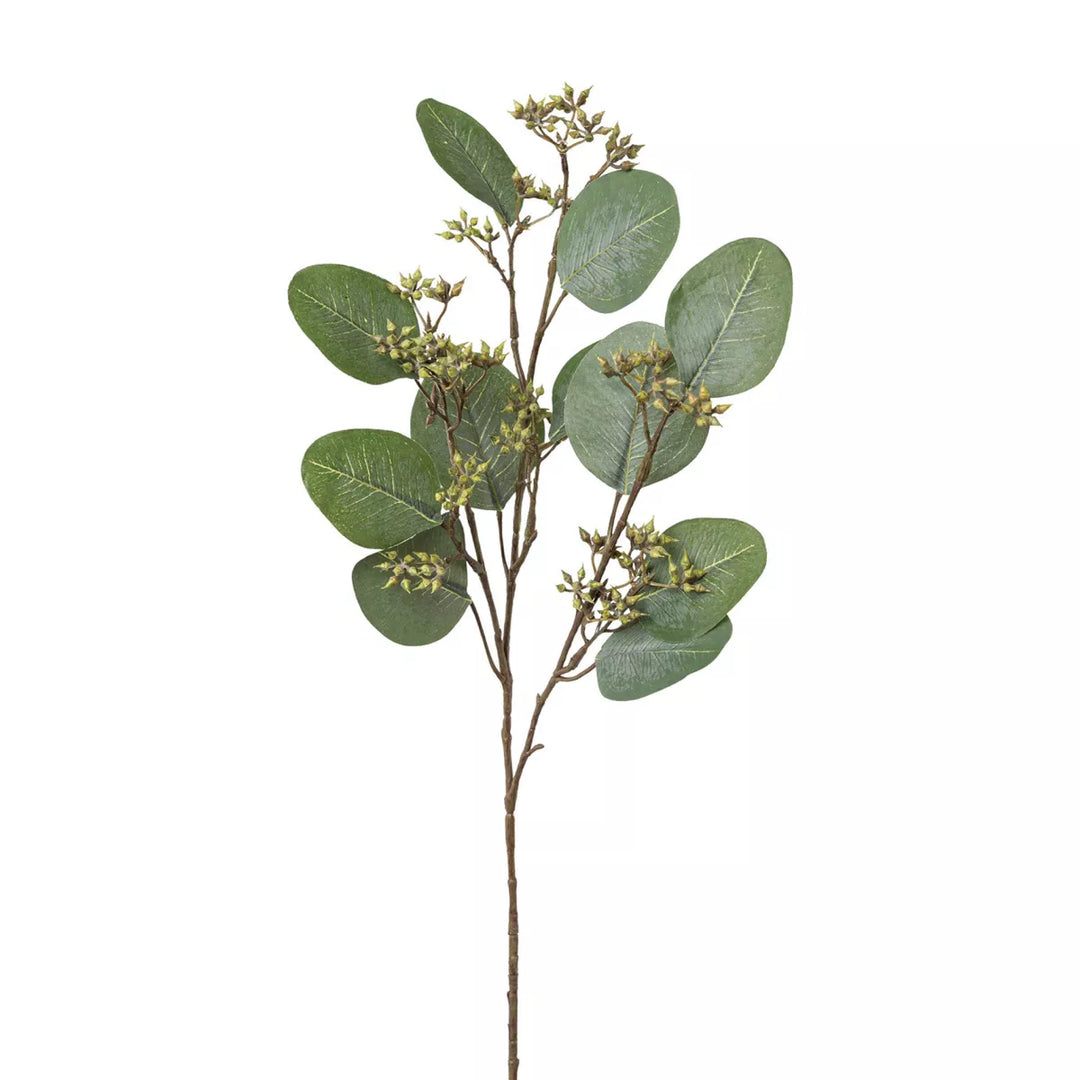 Flourify Eukalyptus tak