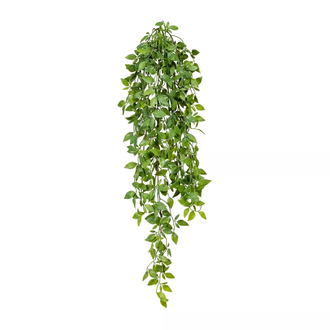 Flourify Drakenklimop (hangplant)