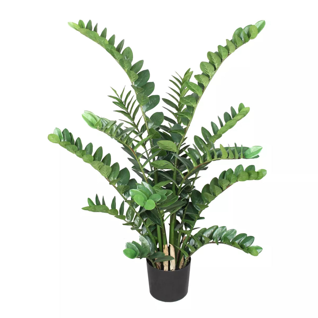 Flourify Zamioculcas (kamerpalm)