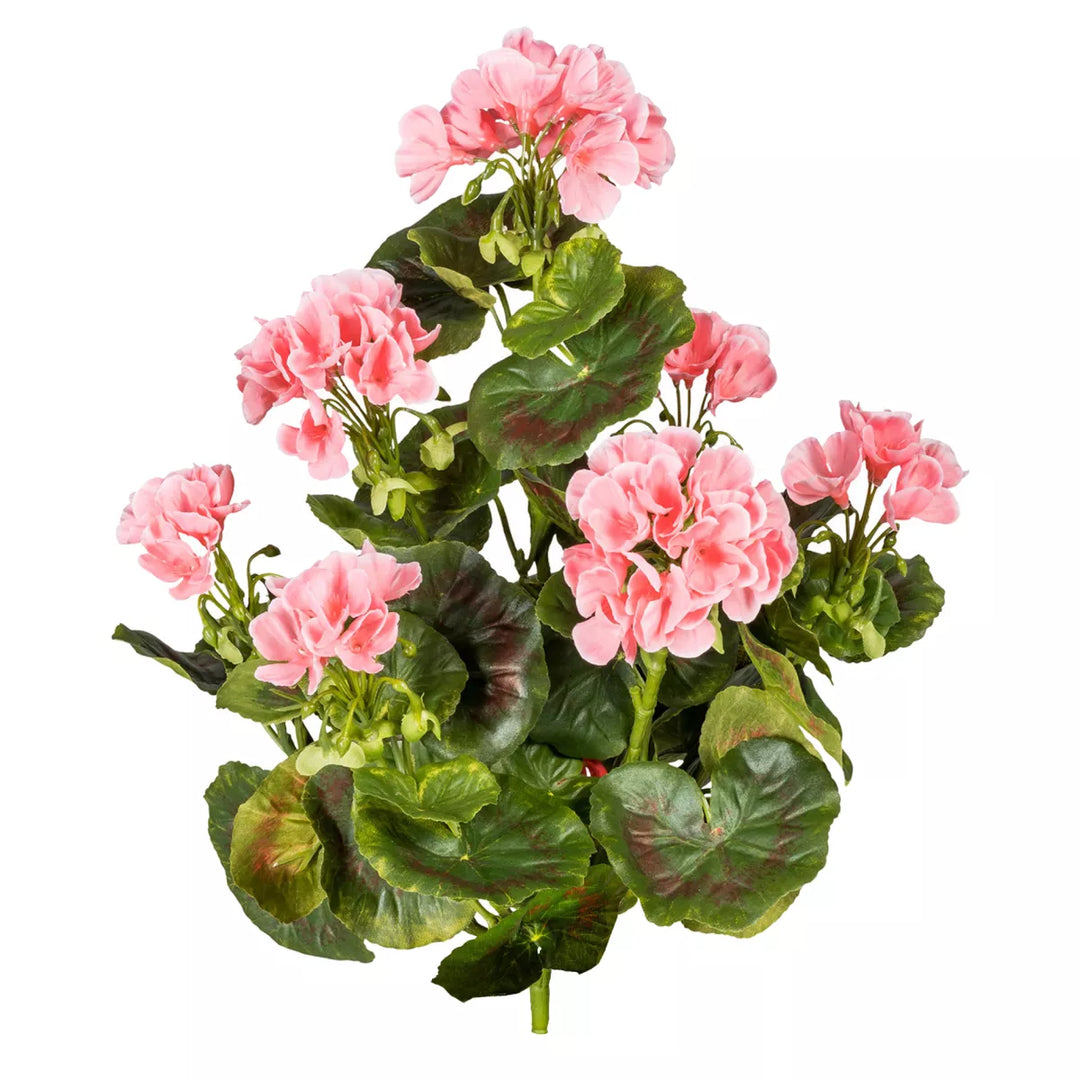 Flourify Geranium bos