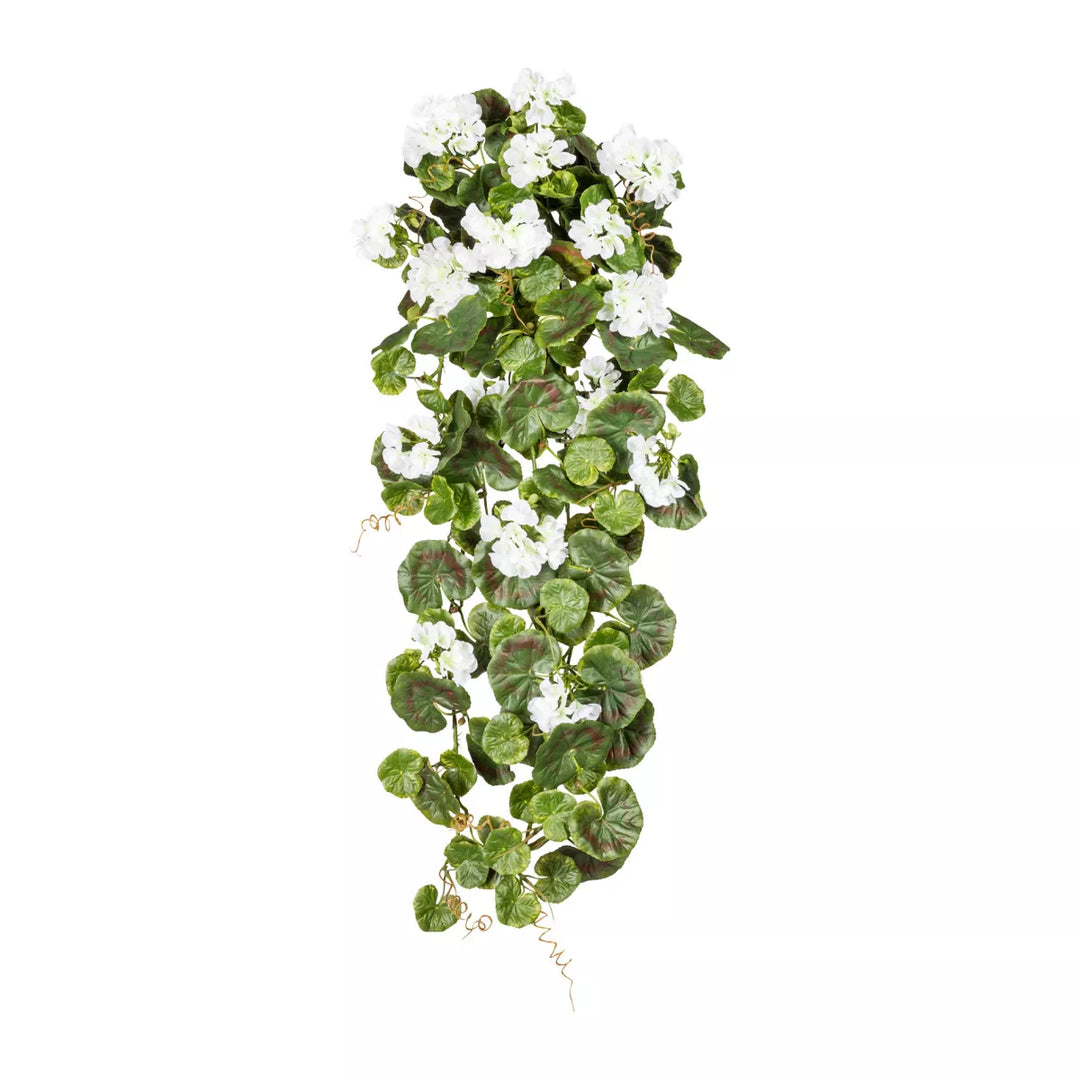 Flourify Geranium hangers
